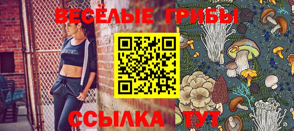 Псилоцибиновые грибы мицелий Ейск